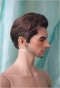 Robusta wig